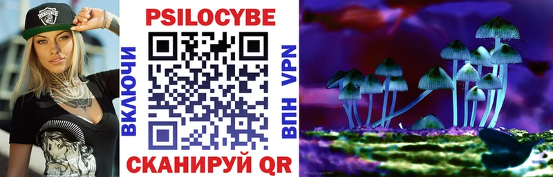 Галлюциногенные грибы Psilocybine cubensis  Сурск 